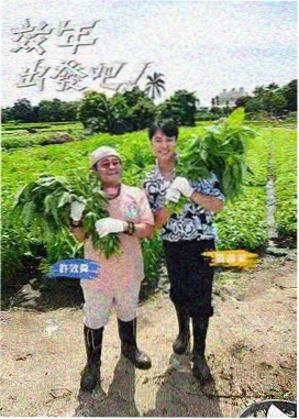 极速狂飙 久久有精品动作新片